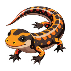 Salamander Vector 