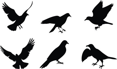 Birds Icon Silhouette Set for Creative Projects. Elegant Bird Silhouettes for Web and Print. Minimal Birds Icon Collection for Digital Use. Black Bird Silhouettes for Design and Branding