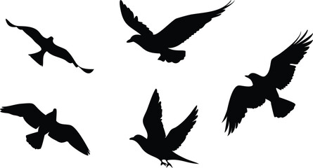 Birds Icon Silhouette Set for Creative Projects. Elegant Bird Silhouettes for Web and Print. Minimal Birds Icon Collection for Digital Use. Black Bird Silhouettes for Design and Branding