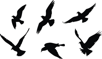 Obraz premium Birds Icon Silhouette Set for Creative Projects. Elegant Bird Silhouettes for Web and Print. Minimal Birds Icon Collection for Digital Use. Black Bird Silhouettes for Design and Branding