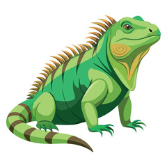 Iguana Vector 