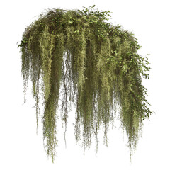 Closeup light green mineral specimen