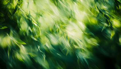 "Fresh Green Leaves with Sunlight in Spring Nature Background"