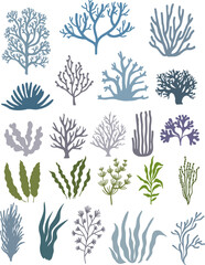 set of corals silhouette color style vector illustration 