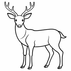 Black and White Deer Illustration . Line Art Animal Drawing