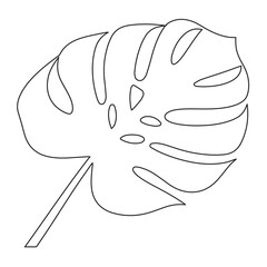 Elegant minimalist line art illustration of a single Monstera deliciosa leaf. Simple black lines on white background, perfect for home decor prints, posters, and modern website design.