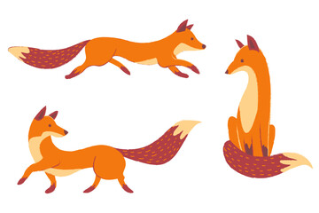 autumn fox element vector illustration