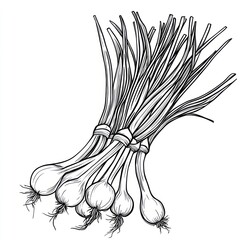 Several bunches of green onions are arranged in an illustration