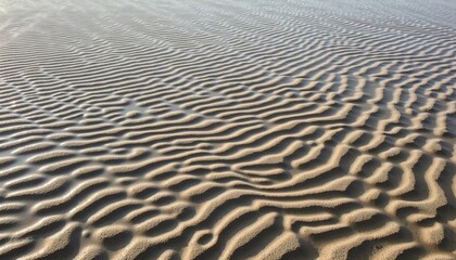 Desert sand patterns in natural sunlight  