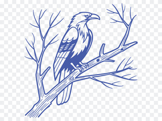 Majestic eagle bird illustration perched on tree branch, hand-drawn blue outline perfect for wildlife artwork, nature logo, animal tattoo, forest theme, vintage print, and branding projects.
