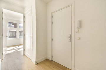 This interior hallway features a contemporary design with ample natural light, showcasing stylish doors and a minimalist aesthetic.