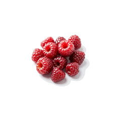 Fresh berries vector image in 3D