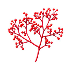 Obraz premium Vibrant red coral with berries and branches, cut out - stock png.