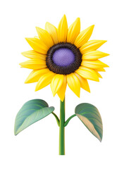 Fototapeta premium Vibrant sunflower with yellow petals and green leaves, cut out - stock png.