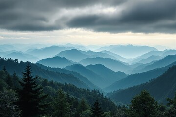 Misty mountain landscape with dense evergreen trees under a cloudy sky.