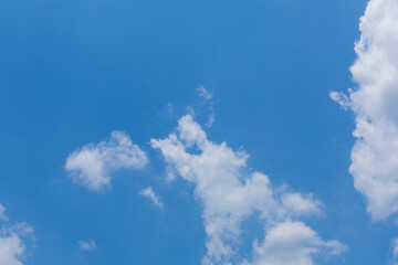 Beautiful Cumulus Clouds Against a Vibrant Blue Sky