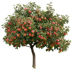 Abstract colorful tree design image