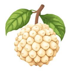 Closeup image of round beige fruit with bumps