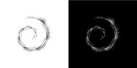 Dynamic abstract spiral sound wave rhythm lines. Circular spiral sound wave rhythm of lines. Circular futuristic abstract lines, black and white background.	
