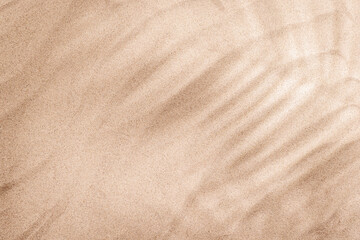 A tropical summer background featuring soft beach sand with delicate palm leaf shadows