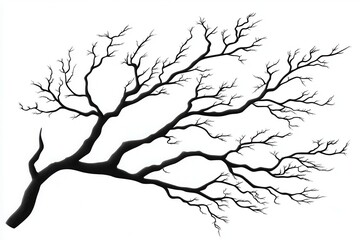 Artistic silhouette of a barren tree branch with intricate twigs against a white background