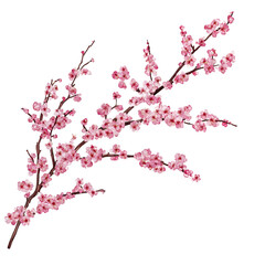 Fototapeta premium Abstract pink purple floral design pattern