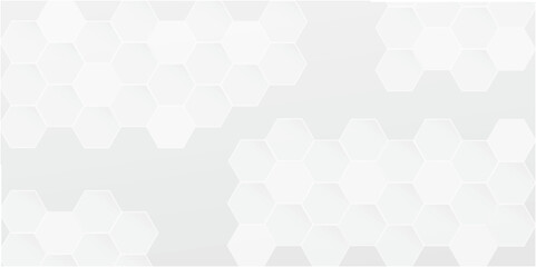 Realistic geometric mesh cells texture. Abstract white vector wallpaper with hexagon grid. beautiful abstract black and white geometrical background pattern