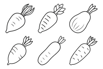 Parsnip vector line icon set, vegetables vector illustration with white background