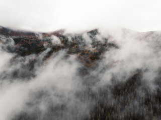 Aerial top view of summer green trees in forest with mountains in Slovakia. Drone