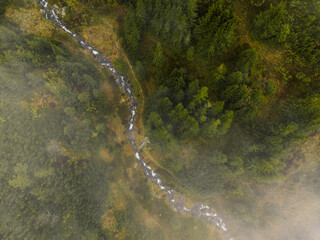 Aerial top view of summer green trees in forest with mountain river in Slovakia. Drone