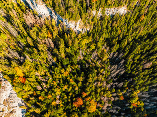Sunset over Liptov region. Autumn Kvacianska walley deciduous forest view from above landspace, slovakia.