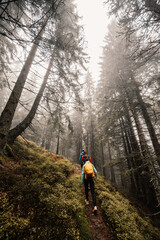 Obraz premium Liptov region hiking in Low Tatras mountains landspace, Slovakia.