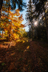 Liptov region Hiking in Tatras mountains to autumn cerenova rock view near Liptovsky Mikulas , slovakia.