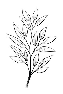 recommend clip art: Eucalyptus branch with leaves vector