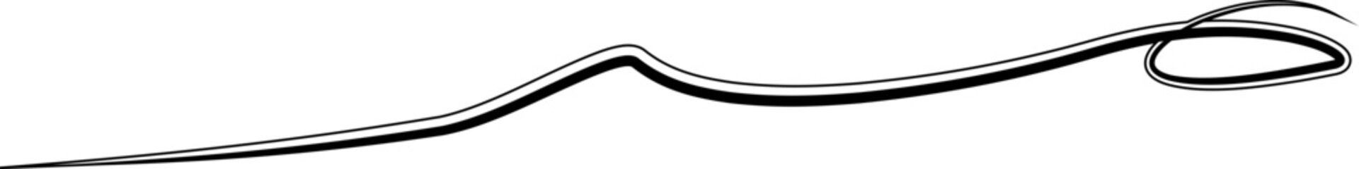 Hand Drawn Brush Line