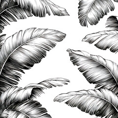 Obraz premium textured ink drawing of stylized tropical leaves (banana, palm)