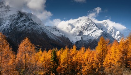 Obraz premium Majestic snow-capped mountains rise behind vibrant autumn trees under a dramatic sky, showcasing nature
