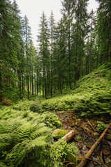 Pilsko Ski Resort, located on the border of Slovakia and Poland, offering scenic tourist trail on Pilsko Mountain in the Beskids, Poland