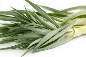 Fototapeta premium Fresh green leeks arranged neatly on a white background, ideal for culinary and healthy recipes