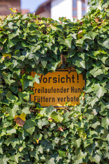 Warnhinweis vor einem freilaufenden Hund in einer Efeuhecke an einem Grundstück in Deutschland
