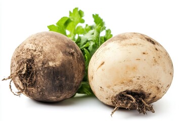 Fresh turnips with green leaves on a white background, ideal for culinary use and recipes