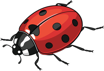 Photorealistic ladybug with glossy shell and detailed legs on white background in hyper detailed vector art style