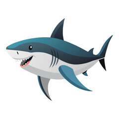 Shark Vector 