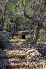 Stone stair to old stone croft in an olive orchard in the countryside © Lars Johansson