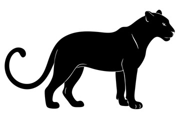 Fototapeta premium Black panther silhouette elegant feline wild animal design vector illustration, black panther, silhouette, panther, feline, animal, wild, mammal, predator, cat, wildcat, big cat, wildlife, vector