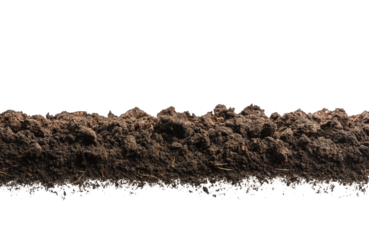 humus soil bottom border pile isolated on white or transparent png