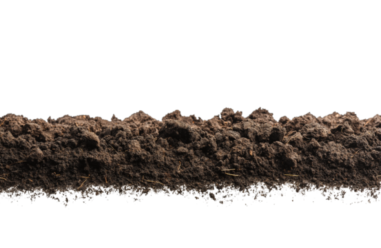 humus soil bottom border pile isolated on white or transparent png