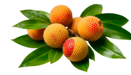 Buy strawberry tree fruit online fresh arbutus unedo for sale healthy food mediterranean diet nutrition 100g