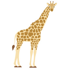 An Elegant Giraffe Standing Tall in Nature Surrounded by Beautiful Landscapes and Wildlife