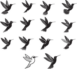 Hummingbirds vector